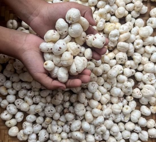 Makhana supplier in India